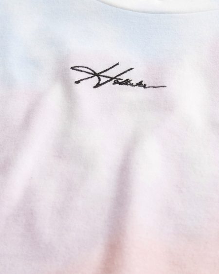 Áo thun nam Hollister HCO-T205 Crewneck Blender T-Shirt Rainbow - Ảnh 2