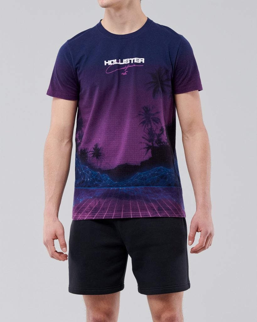 Áo thun nam Hollister HCO-T212 Print Logo Graphic Tee Purple