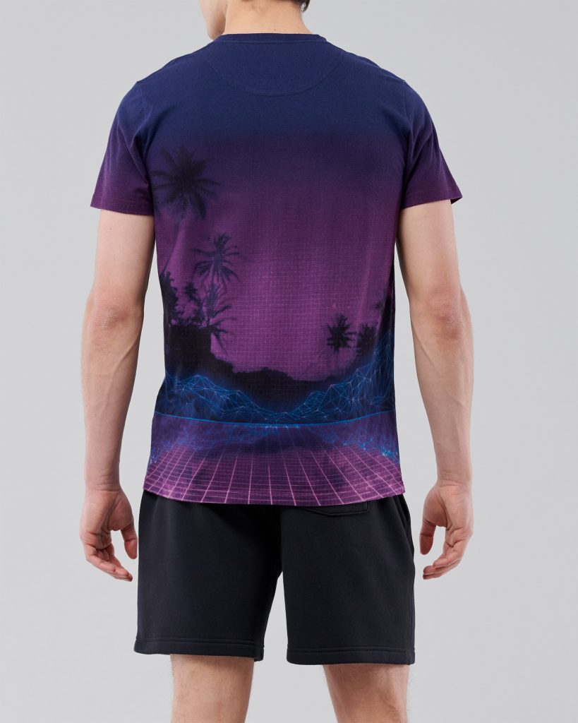 Áo thun nam Hollister HCO-T212 Print Logo Graphic Tee Purple