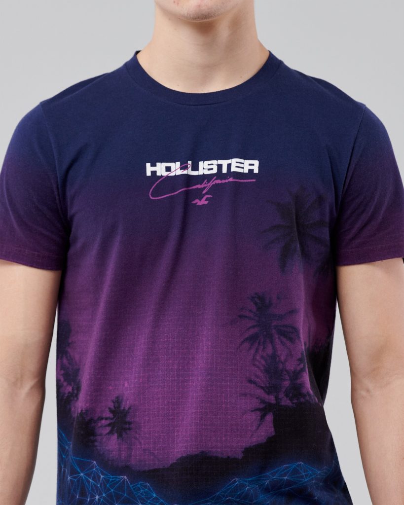 Áo thun nam Hollister HCO-T212 Print Logo Graphic Tee Purple