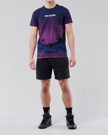 Áo thun nam Hollister HCO-T212 Print Logo Graphic Tee Purple - Ảnh 2