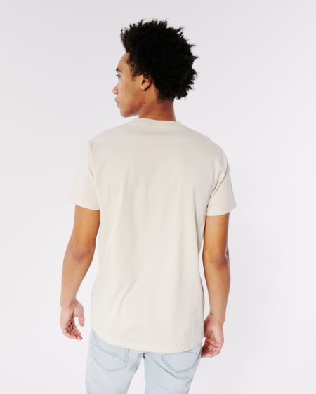 Áo thun nam Hollister HCO-T243 Icon Crewneck T-Shirt Cream - Ảnh 2