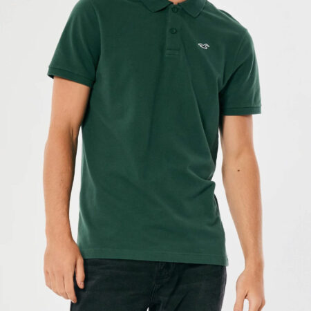 Áo thun nam Hollister HCO-P264 Logo Icon Polo Dark Green
